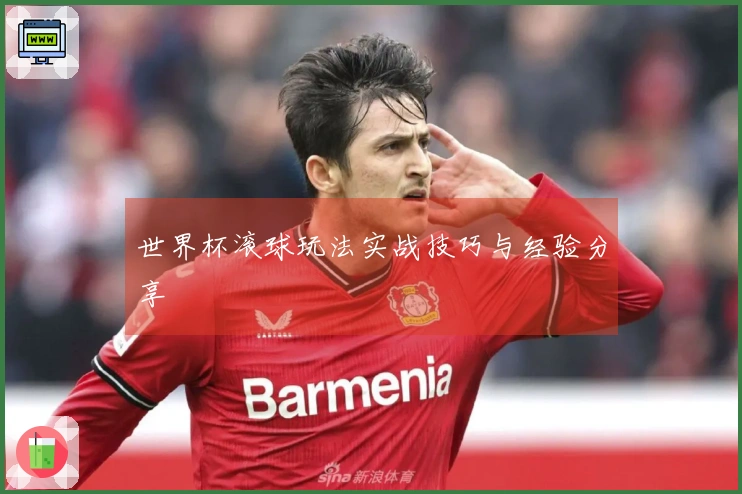 世界杯滚球玩法实战技巧与经验分享