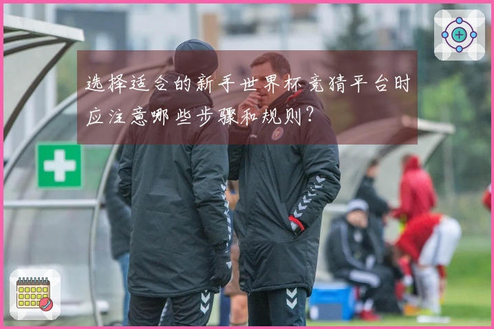 选择适合的新手世界杯竞猜平台时应注意哪些步骤和规则?