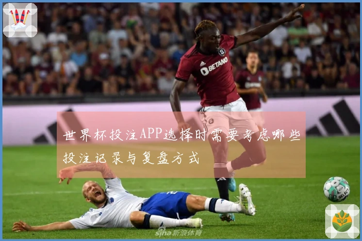 世界杯投注APP选择时需要考虑哪些投注记录与复盘方式