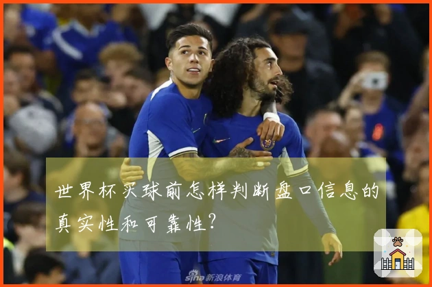 世界杯买球前怎样判断盘口信息的真实性和可靠性？