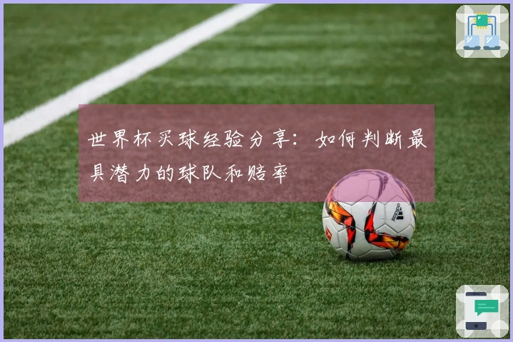 世界杯买球经验分享:如何判断最具潜力的球队和赔率