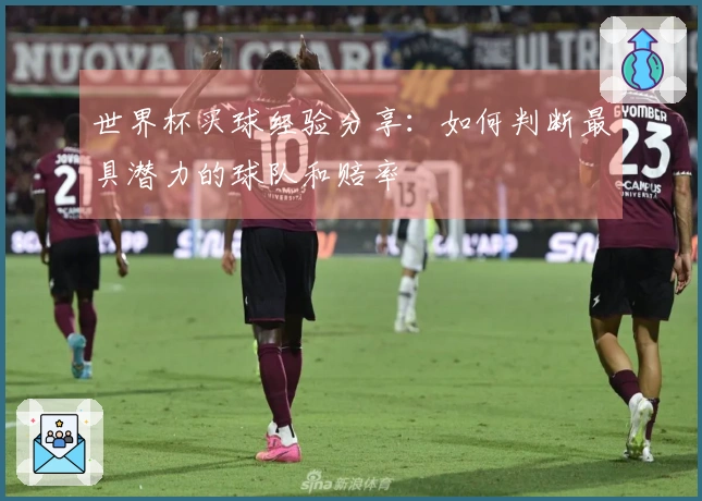 世界杯买球经验分享：如何判断最具潜力的球队和赔率