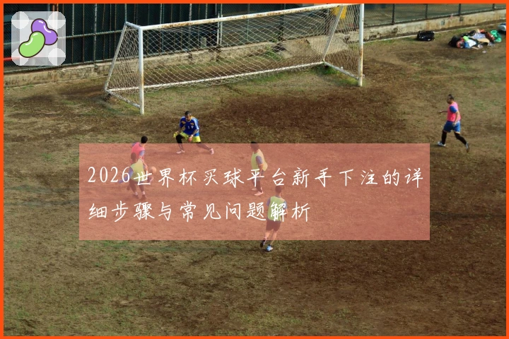 2026世界杯买球平台新手下注的详细步骤与常见问题解析