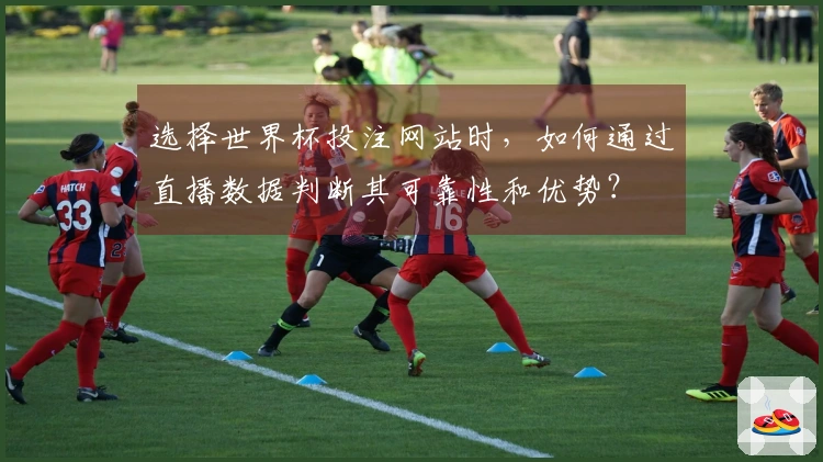 选择世界杯投注网站时，如何通过直播数据判断其可靠性和优势？